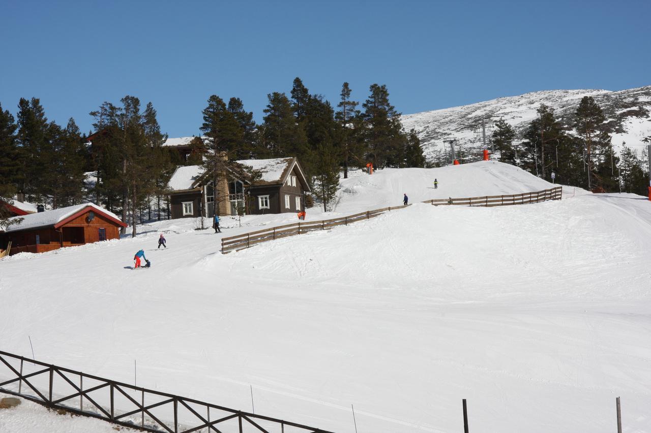 Lemonsjo Fjellstue Og Hyttegrend Randsverk المظهر الخارجي الصورة