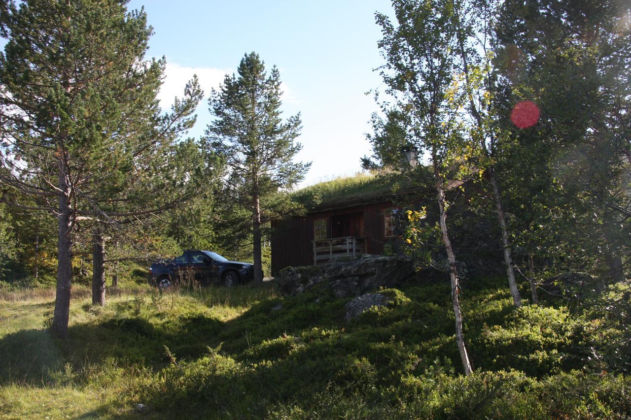 Lemonsjo Fjellstue Og Hyttegrend Randsverk المظهر الخارجي الصورة