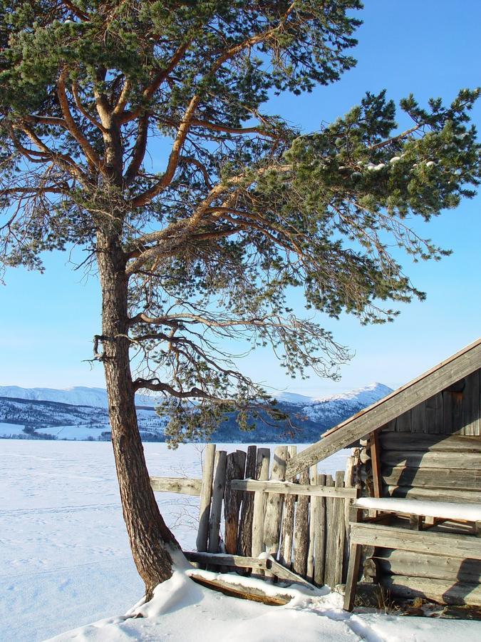 Lemonsjo Fjellstue Og Hyttegrend Randsverk المظهر الخارجي الصورة